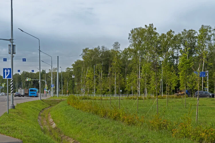  Озеленение на территории Северного речного вокзала, вдоль автомобильной дороги Марьино-Саларьево (посадка растений)  