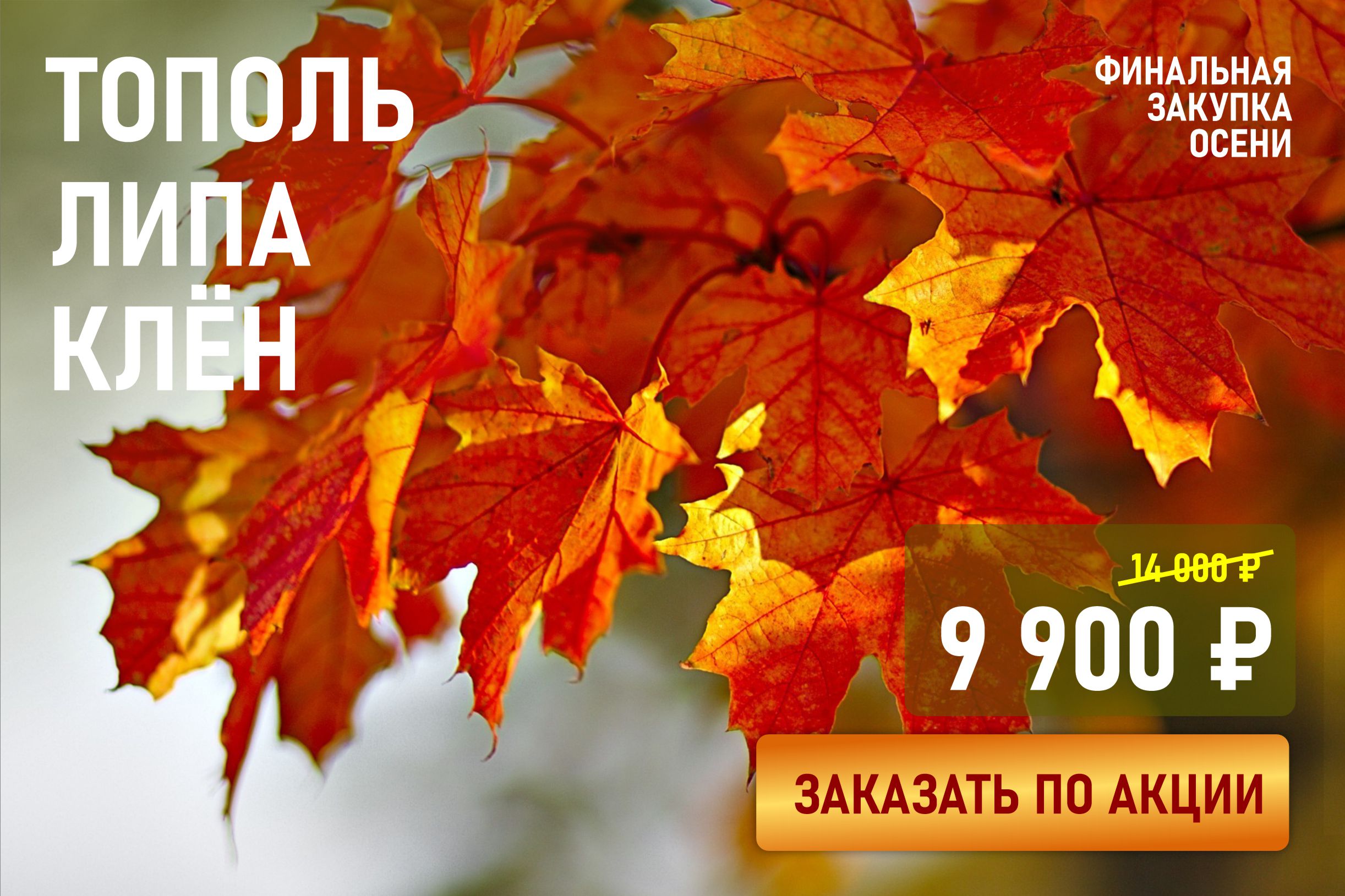 Финальная закупка осени.  