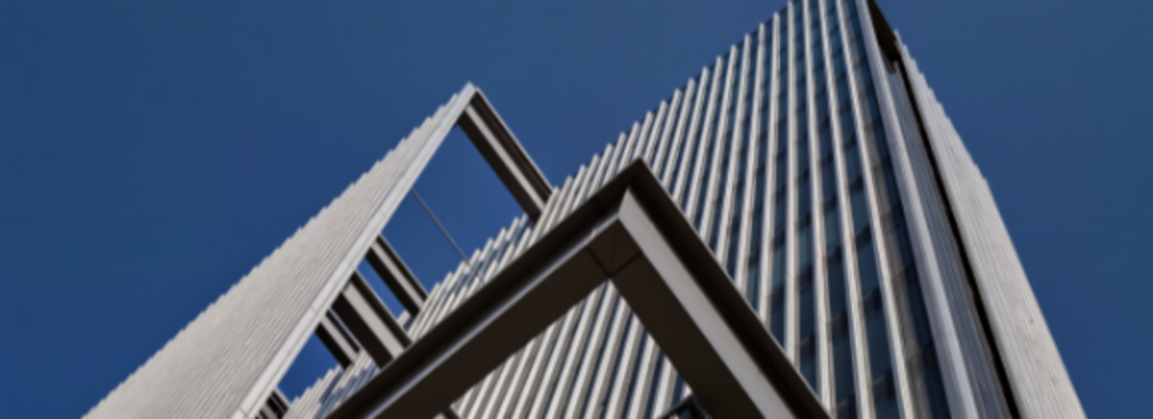 Как озеленение становится стратегическим активом девелопера в 2024-2025 гг