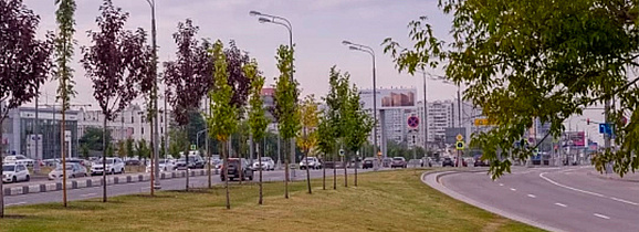 Озеленение Варшавское шоссе, Москва
